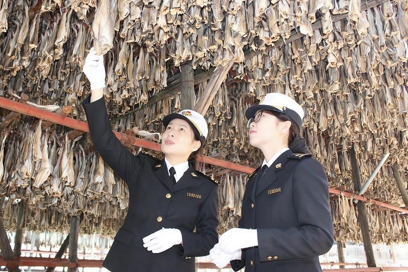 鳕鱼季收官 海关“加速度”守护舌尖上的“鲜”