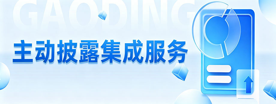 主动披露集成服务